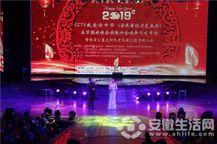 藝術與公益同行 CCTV我愛你中華全民電視才藝盛典安徽分會場發布會圓滿舉行